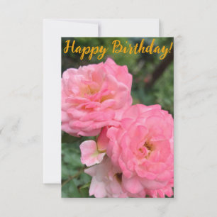 Una nota de Z "¡Feliz cumpleaños!"