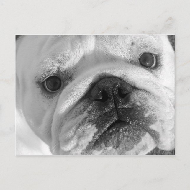 Una nueva postal de amigo (Anverso)