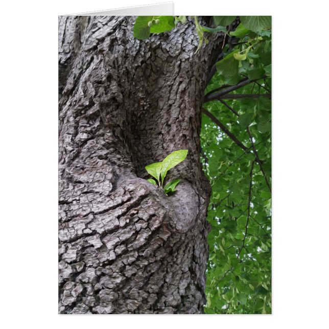 Una nueva ramera (Frente)