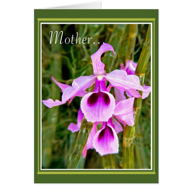 Una orquídea para la madre (Frente)
