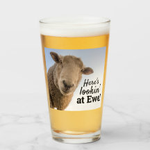 Una oveja divertida mira la foto de Ewe