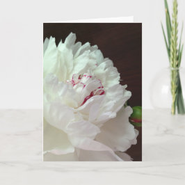 Una Peony para tu tarjeta de notas en blanco para 