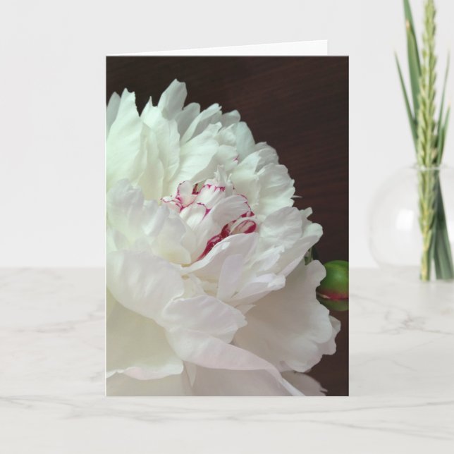 Una Peony para tu tarjeta de notas en blanco para  (Anverso)