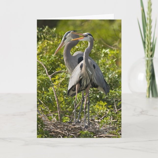 Una pequeña tarjeta de cumpleaños del chirrido (Anverso)