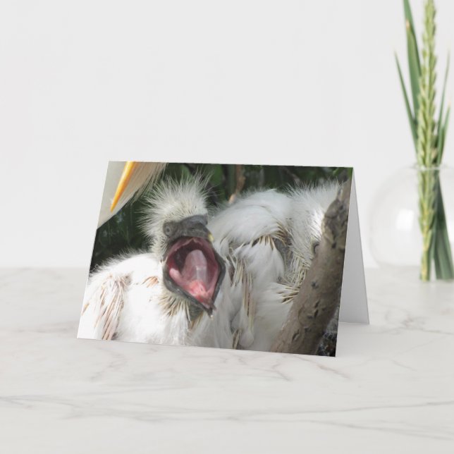 Una pequeña tarjeta de cumpleaños para aves (Anverso)