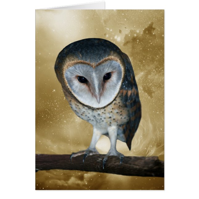 Una pequeña y pequeña fantasía de búho de granero (Frente)
