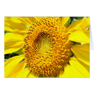 Una poca abeja de la miel