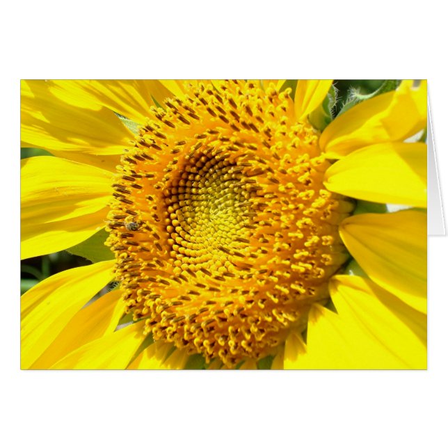 Una poca abeja de la miel (Anverso (Horizontal))