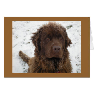 Una poesía de invierno