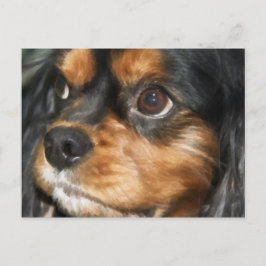 Una postal de Cavalier King Charles Spaniel, un pe