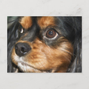 Una postal de Cavalier King Charles Spaniel, un pe