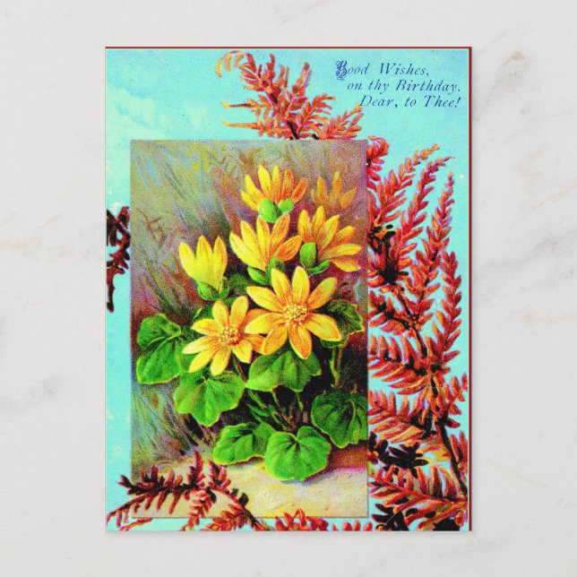 ¡Una postal de cumpleaños para ti! (Anverso)