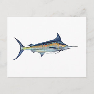Una postal de los peces Marlin azules