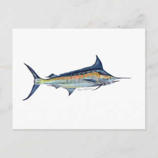 Una postal de los peces Marlin azules
