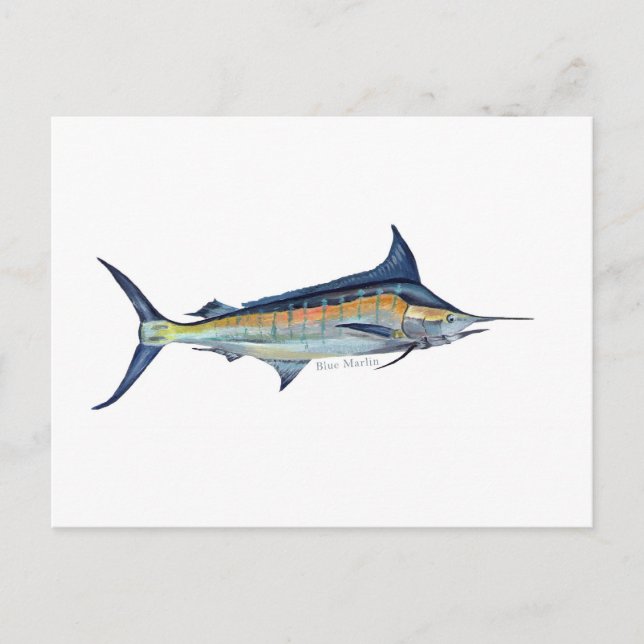 Una postal de los peces Marlin azules (Anverso)