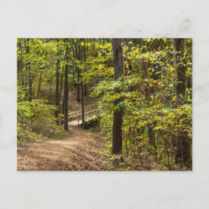 Una postal de pista de carreras