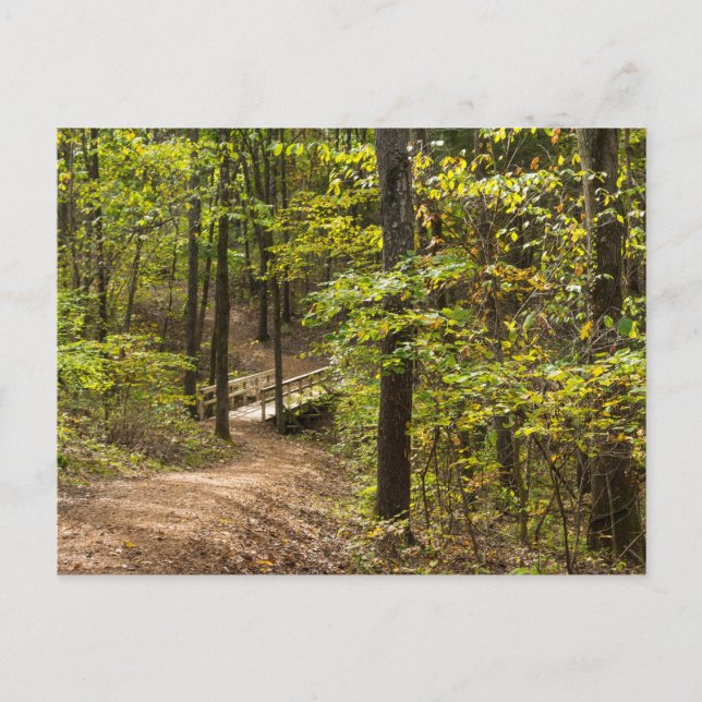 Una postal de pista de carreras (Anverso)