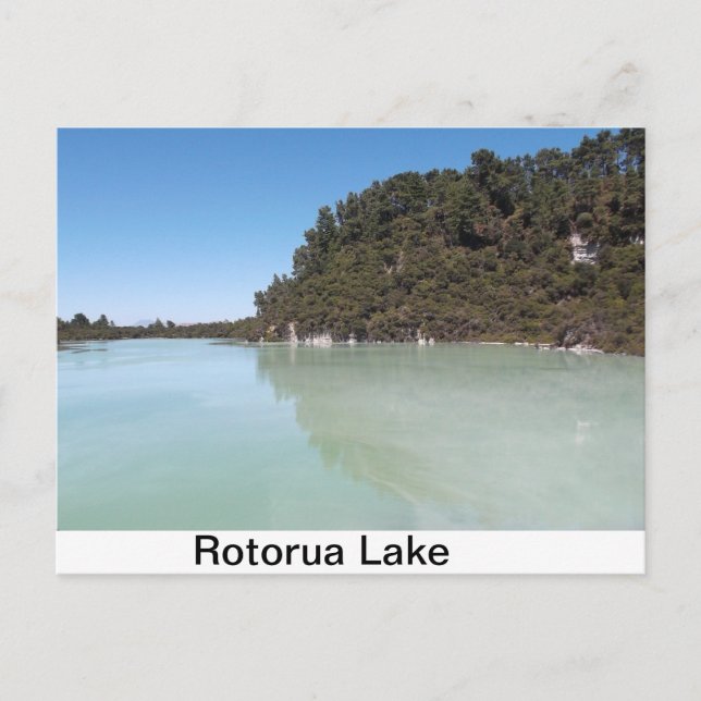 Una postal de un hermoso lago en Rotorua (Anverso)