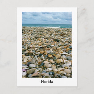 Una postal de una playa de Florida, Estados Unidos