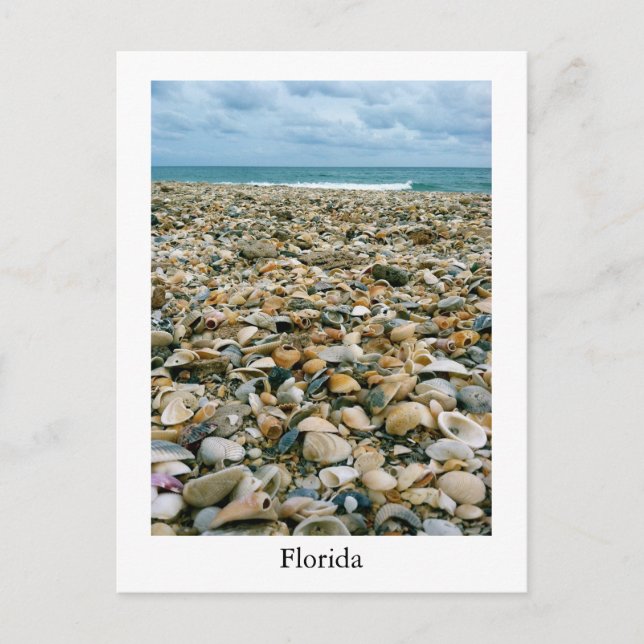 Una postal de una playa de Florida, Estados Unidos (Anverso)