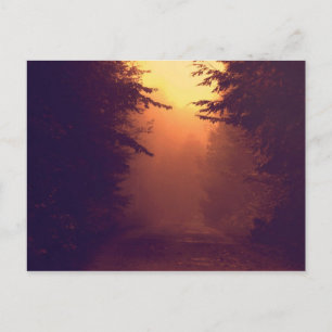 Una postal matutina de niebla