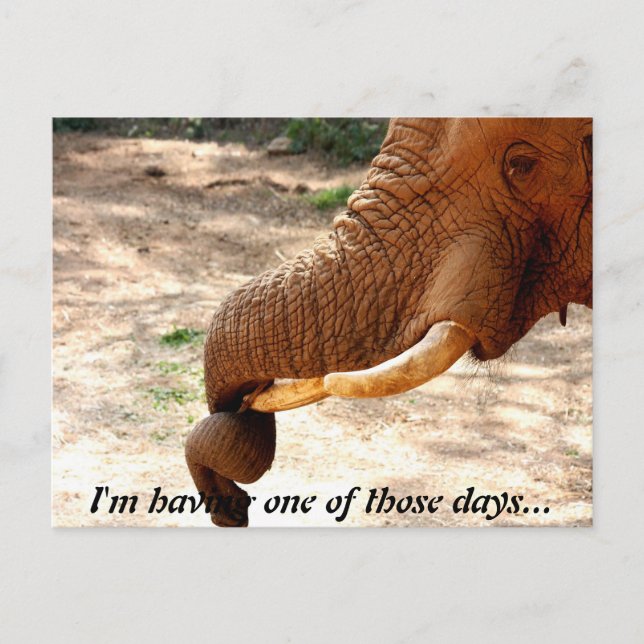 Una postal un poco torcida (Anverso)