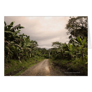 Una remota carretera de la jungla