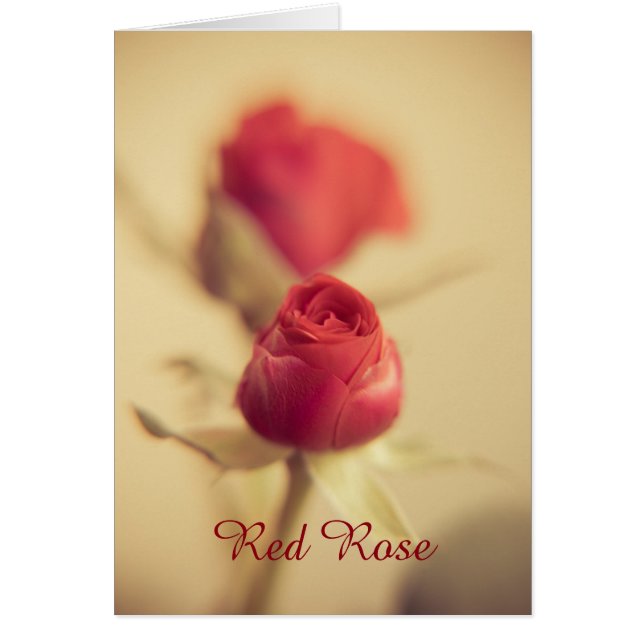 Una rosa roja para tu amor... (Frente)