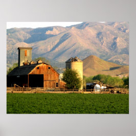 Una simple impresión de vida