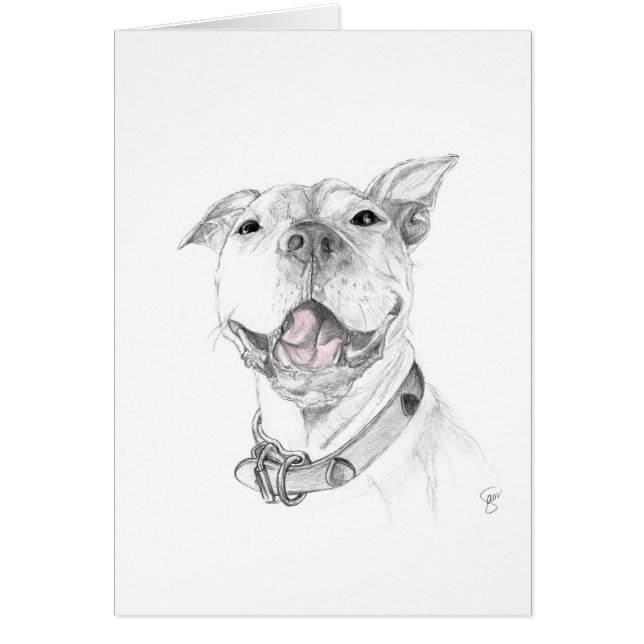 Una sonrisa del pitbull (Frente)