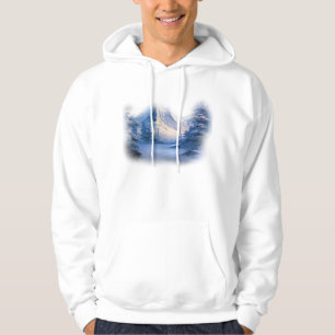 Una sudadera con capucha hermosa de la nieve de la