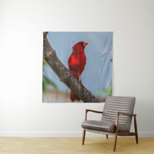 Una Tapiz de 57 x 57 de un Cardenal