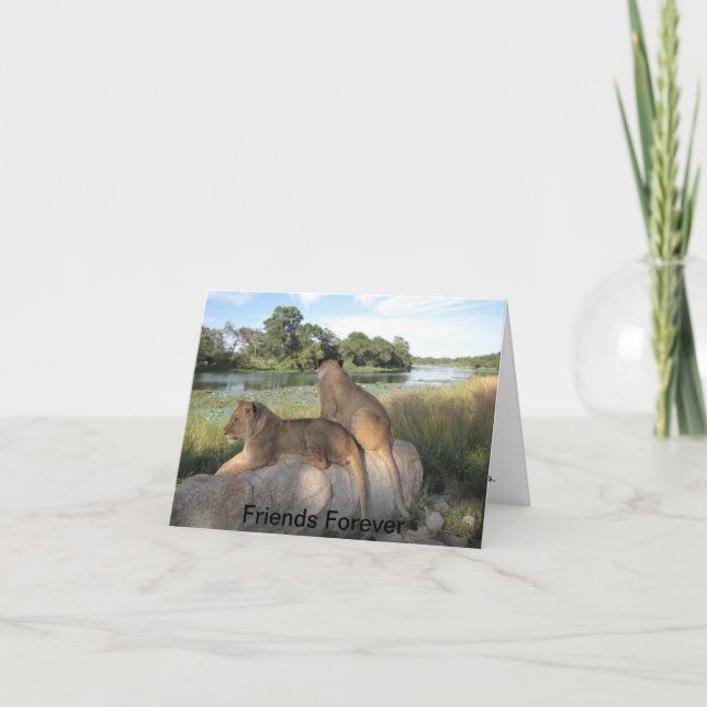 Una tarjeta de amistad (Anverso)