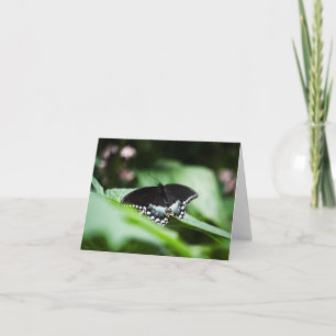 Una tarjeta de apariencia