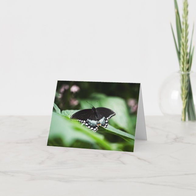 Una tarjeta de apariencia (Anverso)