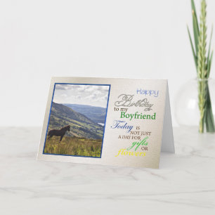 Una tarjeta de cumpleaños de caballo para el novio