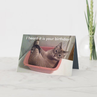 Una tarjeta de cumpleaños divertida del gato 5X7
