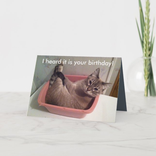 Una tarjeta de cumpleaños divertida del gato 5X7 (Anverso)