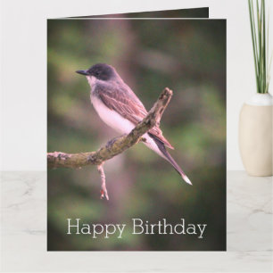 Una tarjeta de cumpleaños feliz para los pájaros