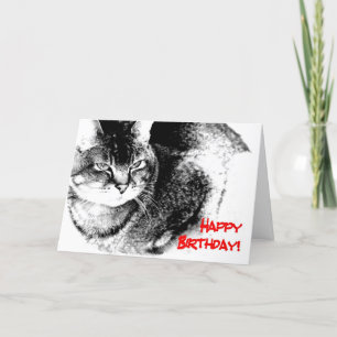 Una tarjeta de cumpleaños - gato del Mitad-Birmano