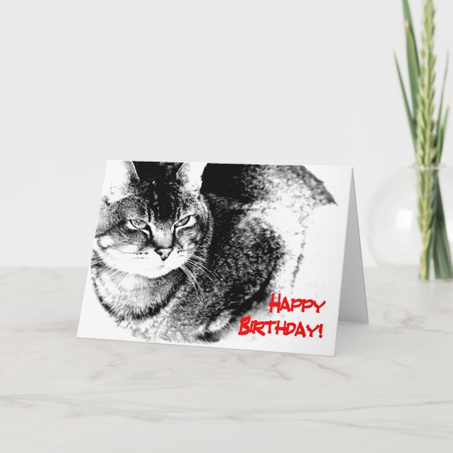 Una tarjeta de cumpleaños - gato del Mitad-Birmano (Anverso)