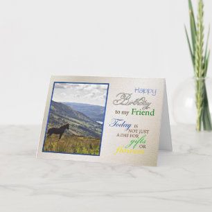 Una tarjeta de cumpleaños para un amigo.