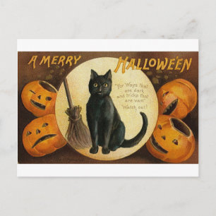 Una tarjeta de gato de Feliz Halloween