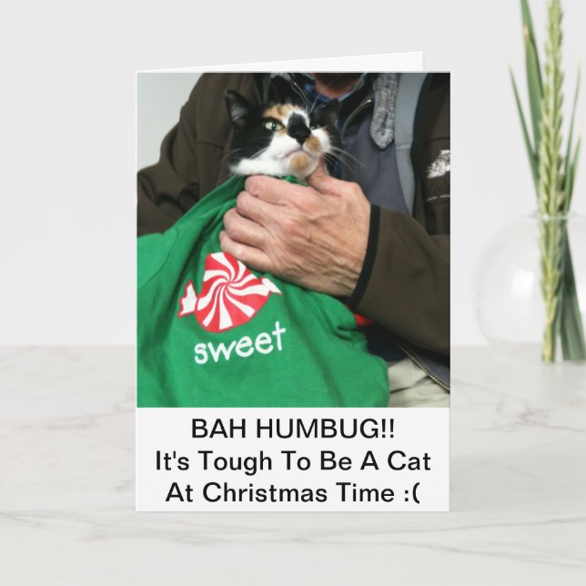 ¡¡¡Una tarjeta de Navidades de aficionados al gato (Anverso)