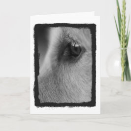 Una tarjeta de pensamiento lejano