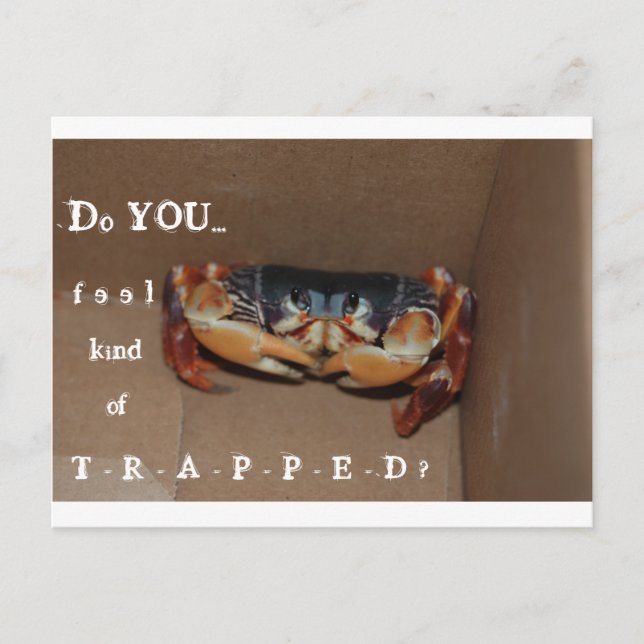 Una tarjeta divertida para animar a un amigo... (Anverso)