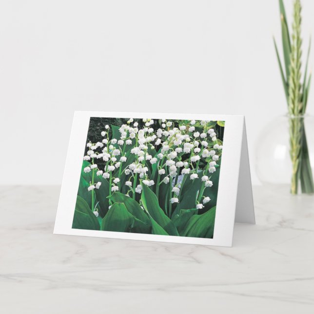 UNA TARJETA ESPECIAL PARA UNA MUJER ESPECIAL (Anverso)