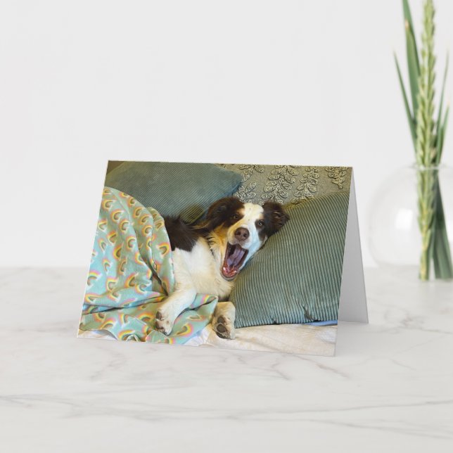 Una tarjeta para el bienestar linda, foto de perro (Anverso)