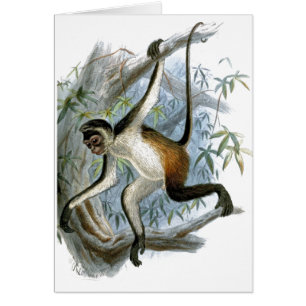 Una tarjeta para niños de un mono Cheeky CC0366