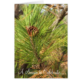 Una temporada para celebrar...